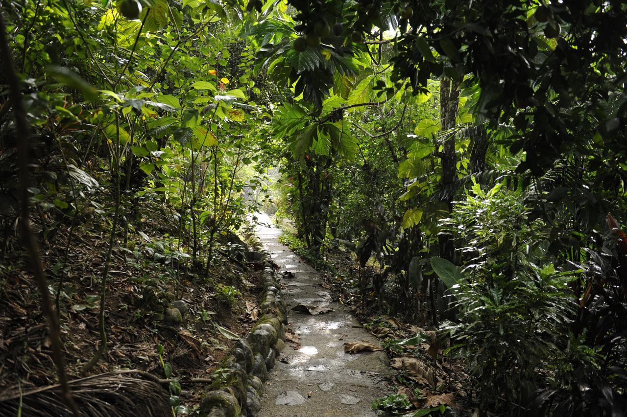 Omega Tours Eco-Jungle Lodge Ла-Сейба Экстерьер фото